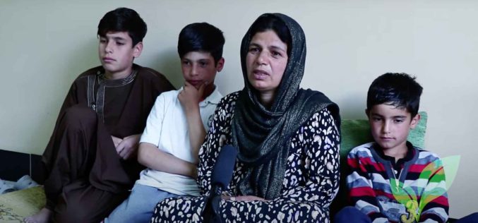 A widow with 5 children